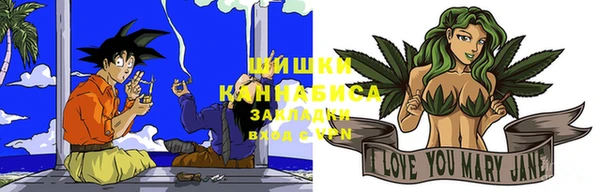 ГАЛЛЮЦИНОГЕННЫЕ ГРИБЫ Абаза