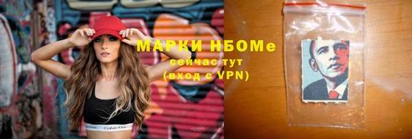 гидра Горняк