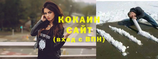 ГАЛЛЮЦИНОГЕННЫЕ ГРИБЫ Абаза