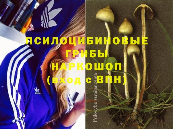 индика Алексеевка