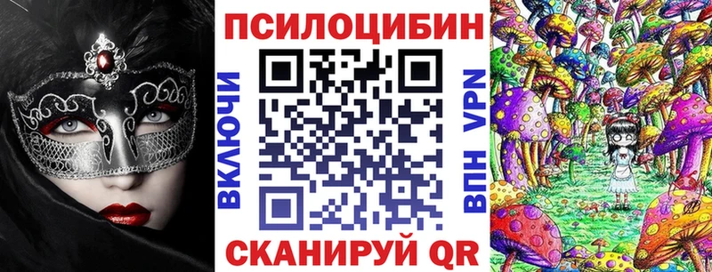 Псилоцибиновые грибы Cubensis  цены наркотик  Новоалександровск 